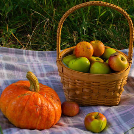 Apple Pumpkin Seasonal Facial