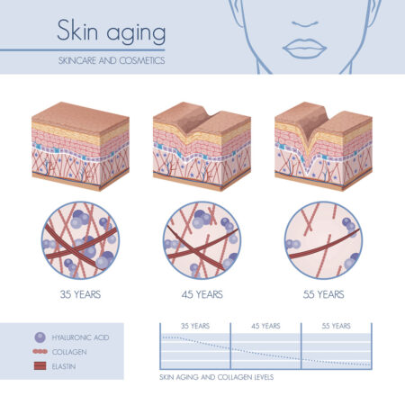 Skin Aging