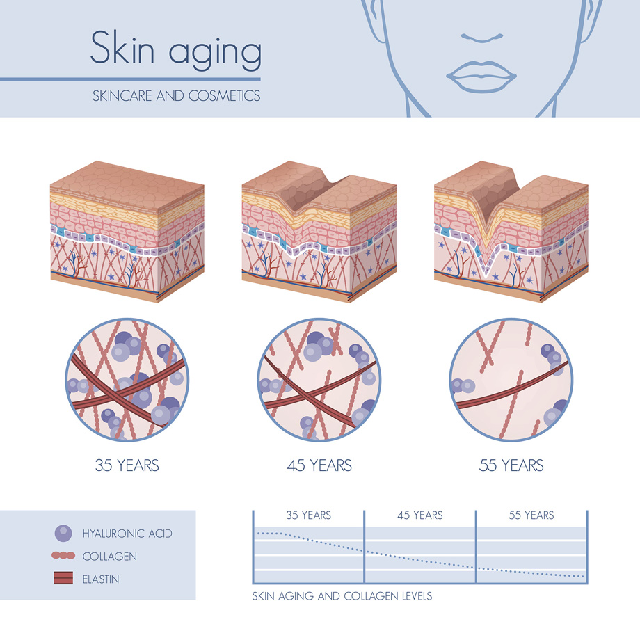 Skin Aging
